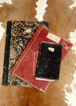 Photo of the diaries
