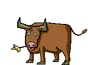 No bull!