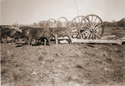Estancia pic missing