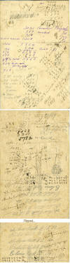 Page images