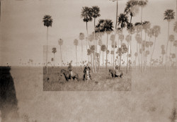 Missing image.