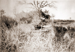 Missing image.