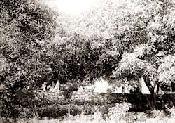Missing image.
