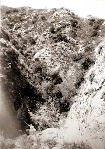 Missing image.
