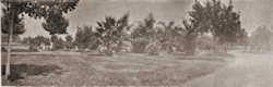 Missing image.
