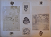 Missing image.