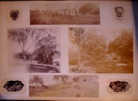 Missing image.