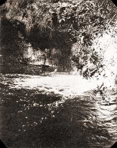 Missing image.