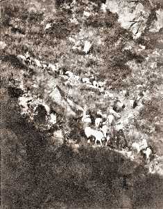 Missing image.