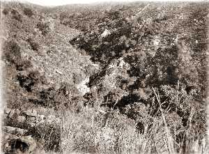 Missing image.