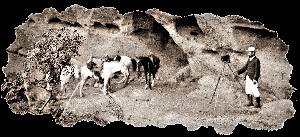 Missing image.