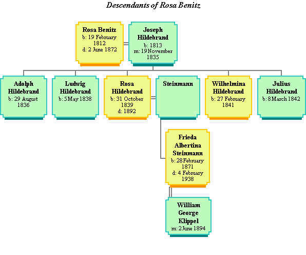 Family tree.
