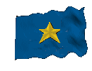No Flag