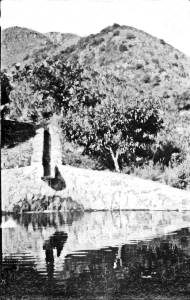 Missing image.