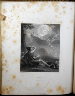 Missing image.