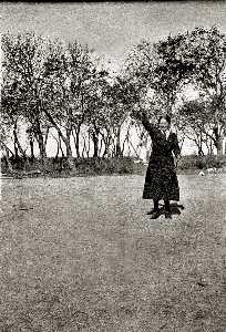Missing image.