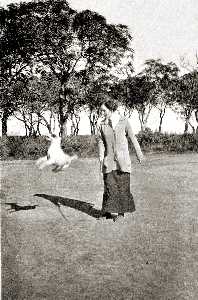 Missing image.