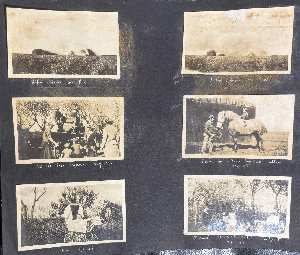 Missing image.