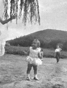 Missing image.