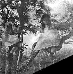 Missing image.